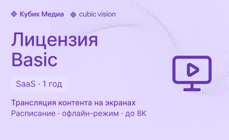 Cubic Vision Basic — SaaS-лицензия на 1 год