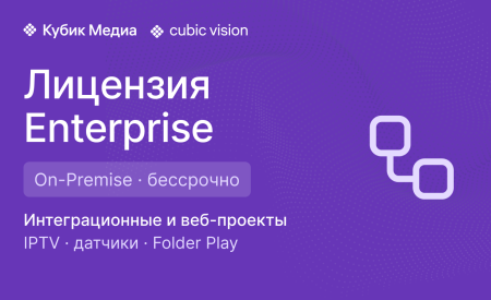 Cubic Vision Enterprise — бессрочная лицензия (On-Premise) 