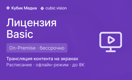 Cubic Vision Basic — бессрочная лицензия (On-Premise)