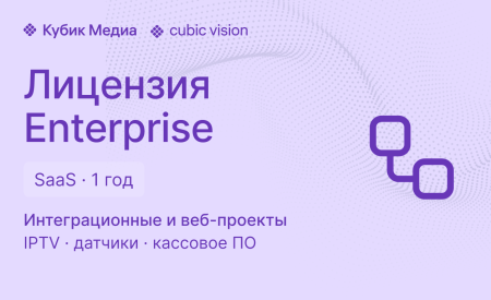 Cubic Vision Enterprise — SaaS-лицензия на 1 год