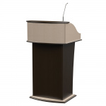 Интерактивная трибуна 