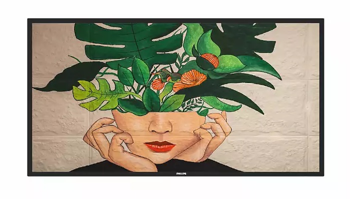 Philips 55BDL4511D/00 