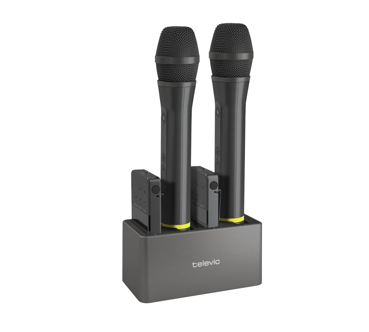 Televic Unite DS-4/2 Televic Unite DS-4/2