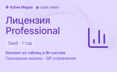 Cubic Vision Professional — SaaS-лицензия на 1 год