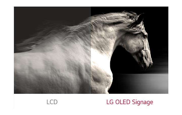 Художественное пространство выходит за пределы дисплея, LG Wallpaper OLED Signage Художественное пространство выходит за пределы дисплея, LG Wallpaper OLED Signage
