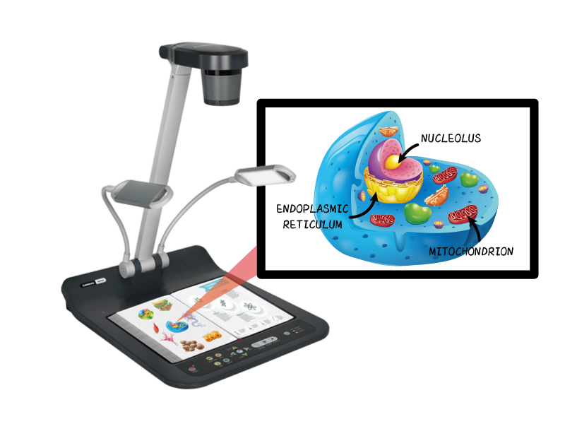 Легко пользоваться Легко пользоваться