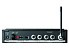 Shure P3TERA215CL-K3E-02