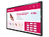 Интерактивная панель 43” T-Line, 18/7, Android 8, UHD, OPS, 400 нит