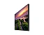 Samsung QB75B-2