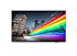 Профессиональный дисплей 50” B-Line, 4K UHD, Google Play Store, DVB-C/T/T2 тюнер, HDMI