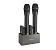 Televic Unite DS-4/2
